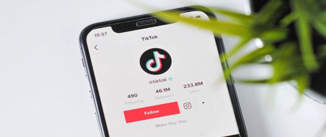 怎样使用 TikTok 玩转自力站？？？？？？来聊聊 TikTok流量池