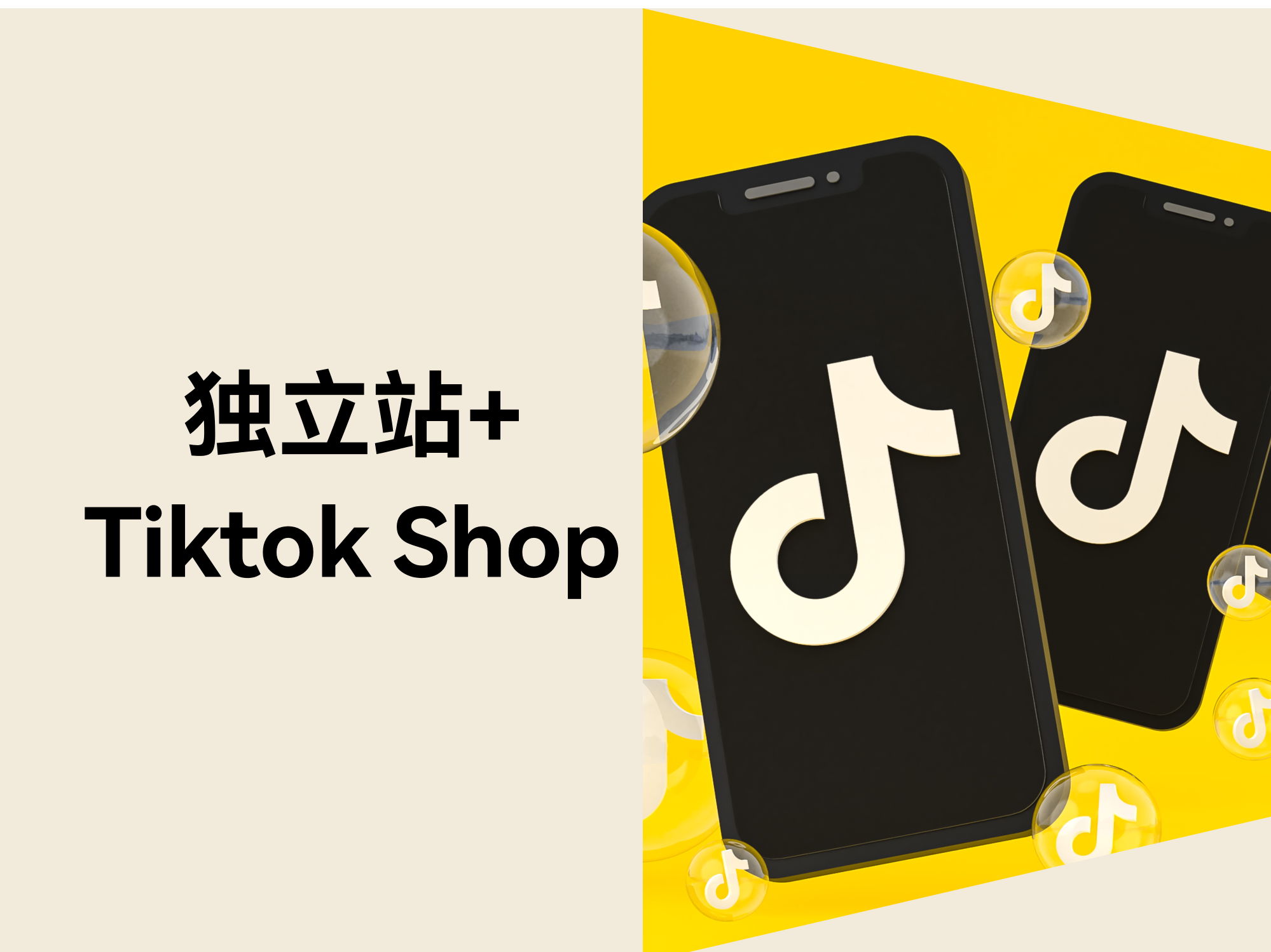 自力站与TikTok小店协同：应对TikTok封号最佳战略