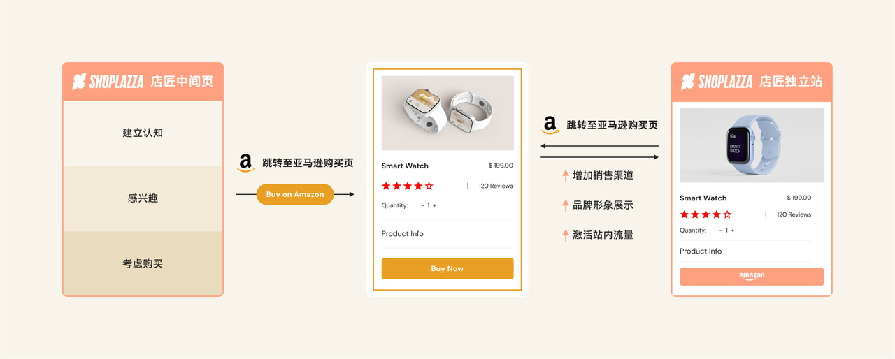 自力站与亚马逊等平台双轨运营模式